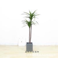 uploads/erp/collection/images/Home Garden/dgjiawang/XU0612861/img_b/XU0612861_img_b_3
